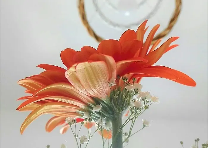 Déjà Vu Appartement Crotone