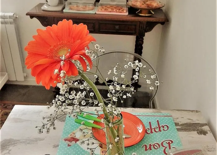 Deja Vu 克罗托内